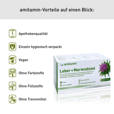 Leber + Mariendistel