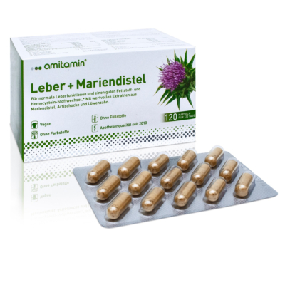 Leber + Mariendistel